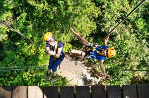 Zipline